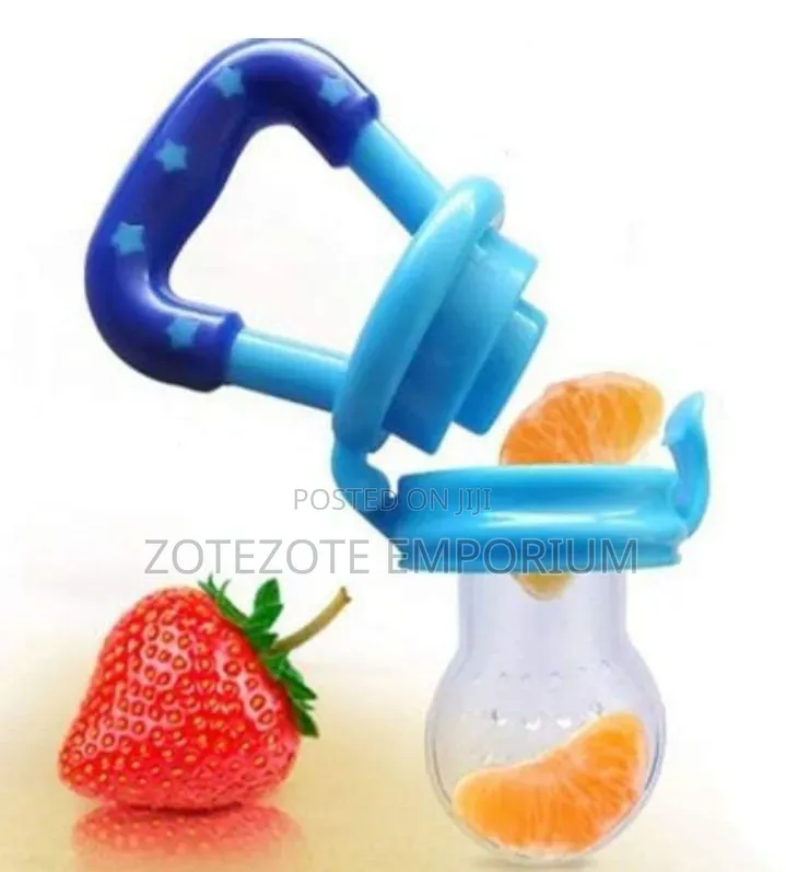 Baby Fruit Pacifier
