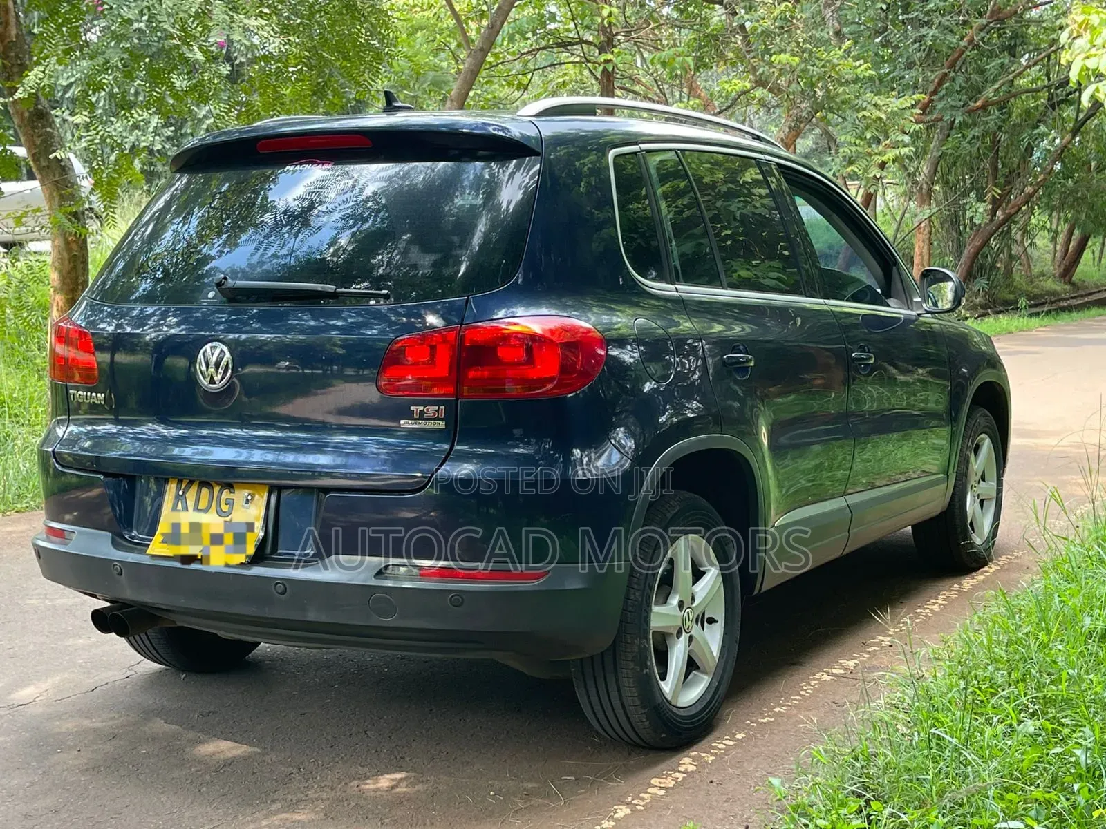 Volkswagen Tiguan 2014 Blue