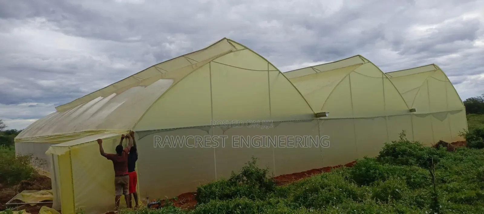 Greenhouse Construction