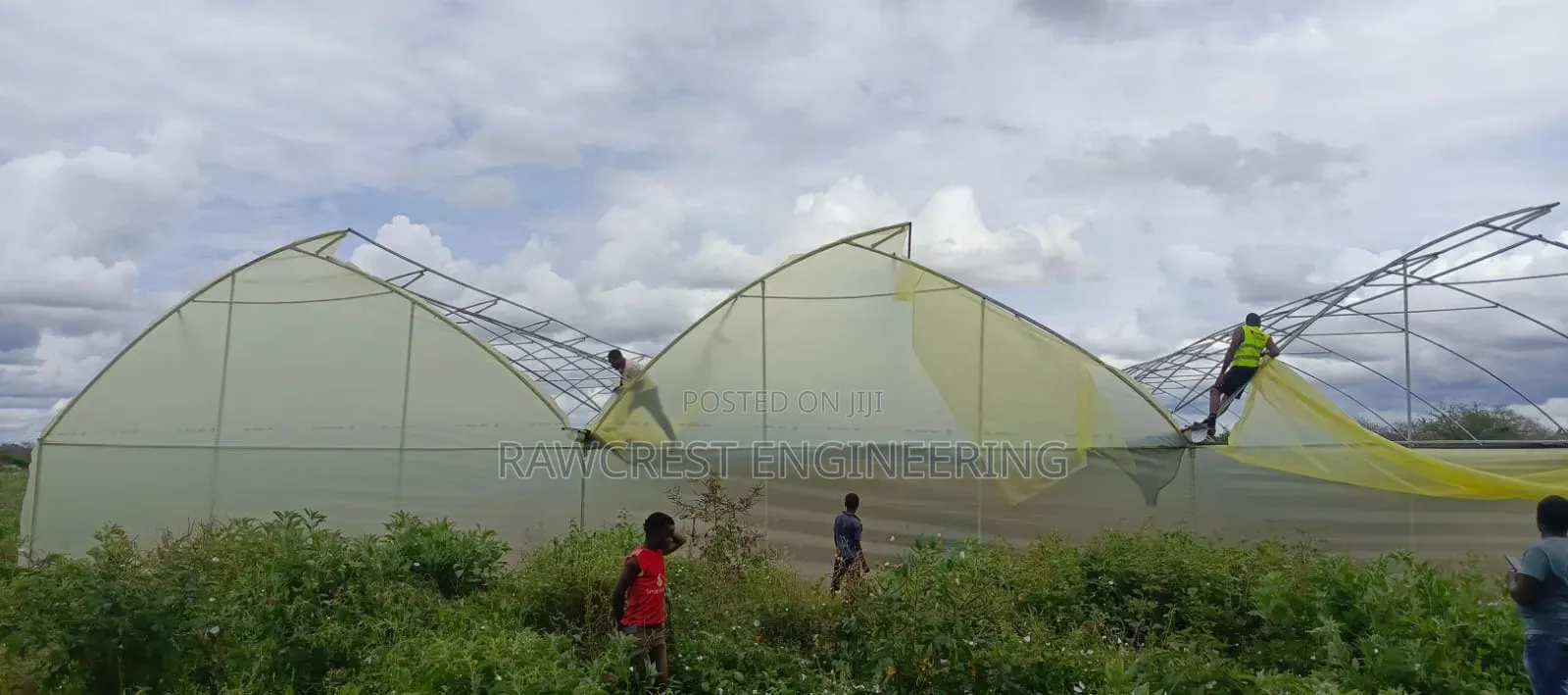 Greenhouse