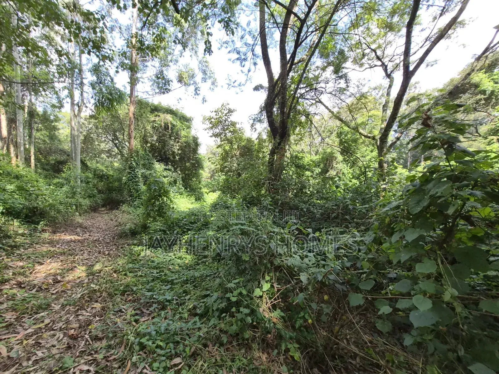 4.7 Acres of Land for Sale in Kitisuru Estate