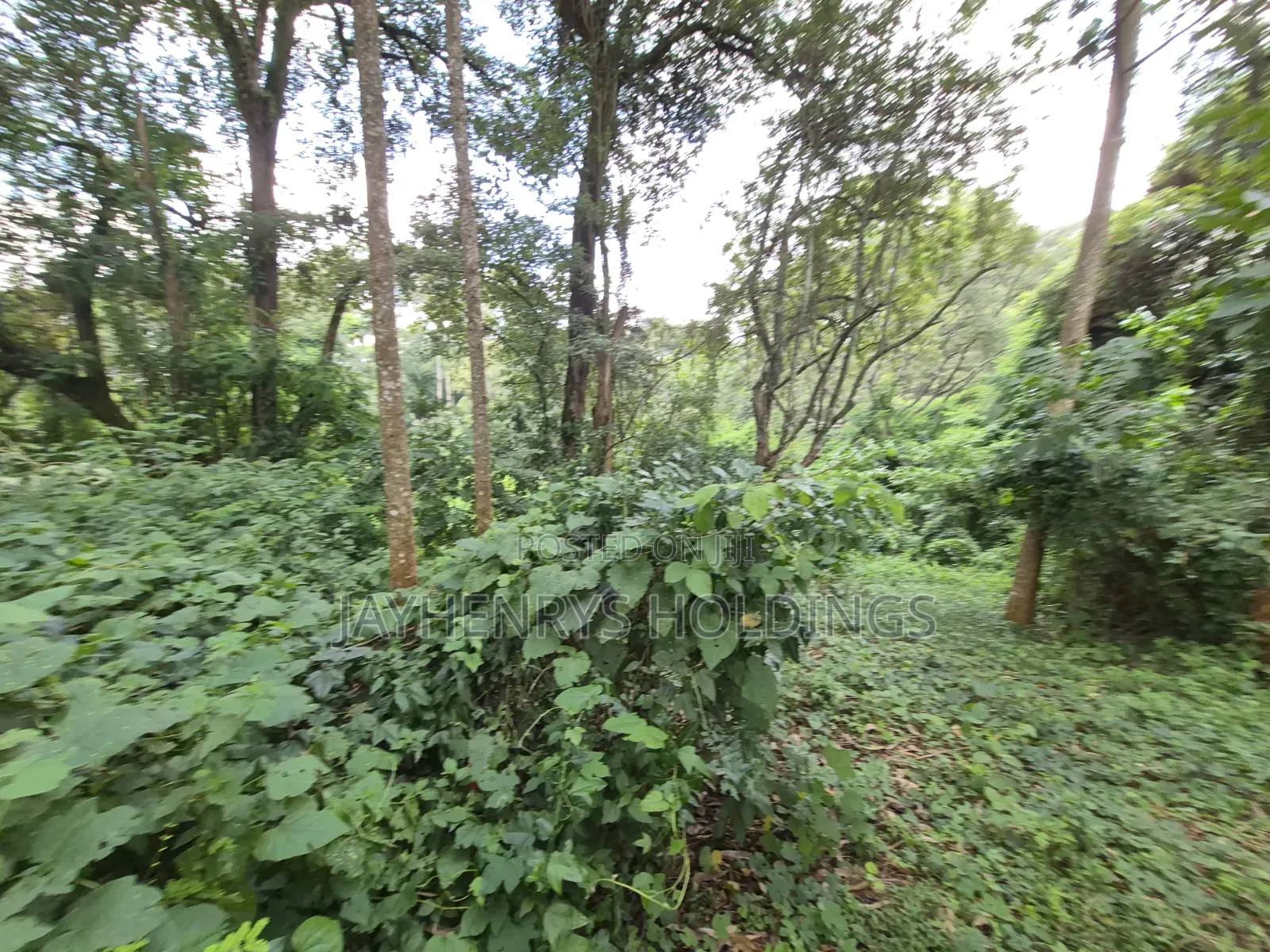 4.7 Acres of Land for Sale in Kitisuru Estate