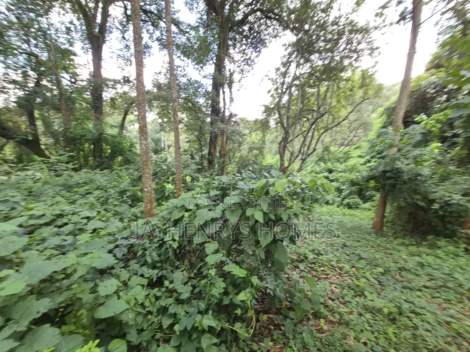 4.7 Acres of Land for Sale in Kitisuru Estate