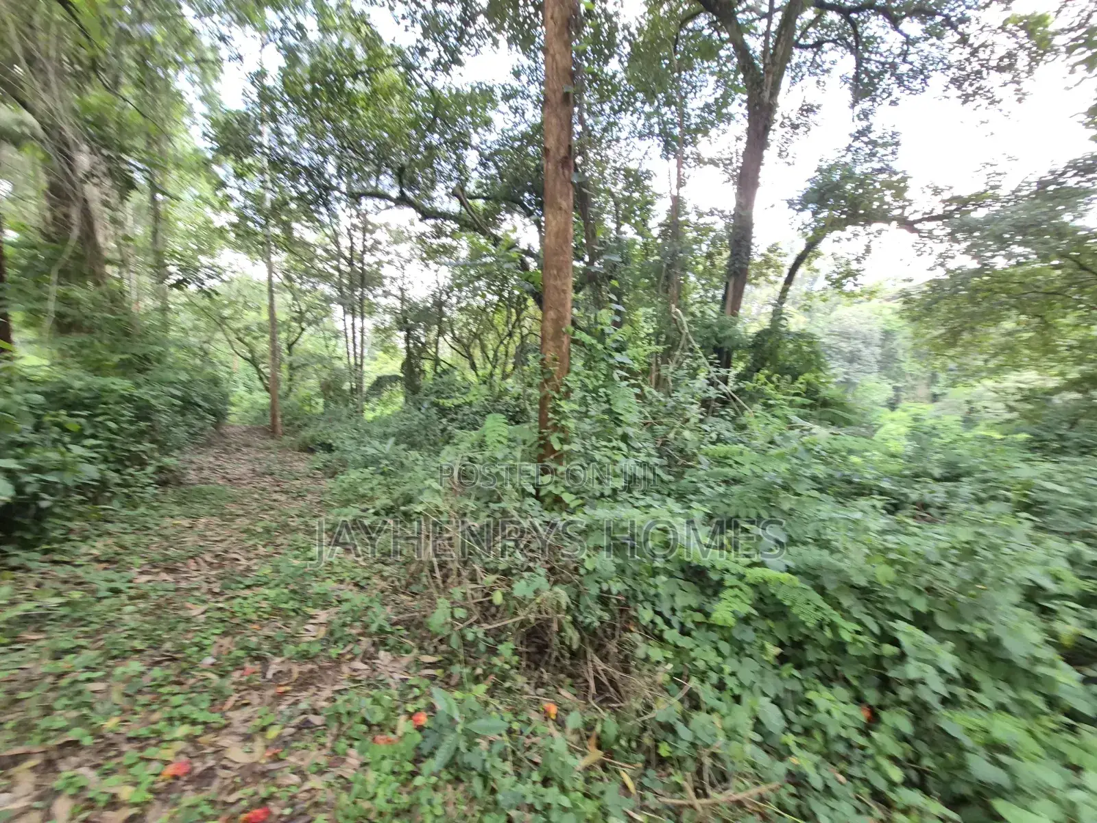 4.7 Acres of Land for Sale in Kitisuru Estate