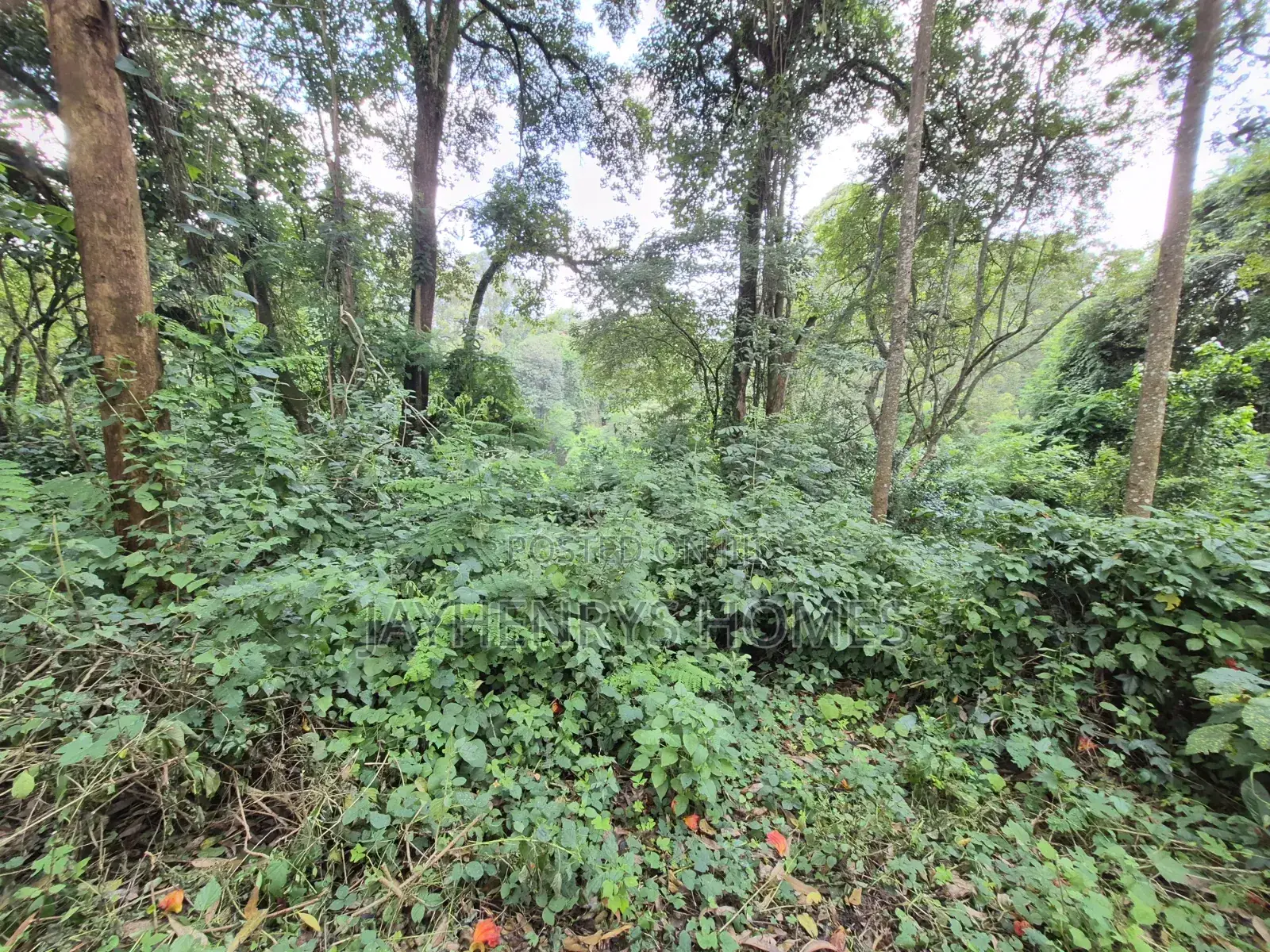 4.7 Acres of Land for Sale in Kitisuru Estate