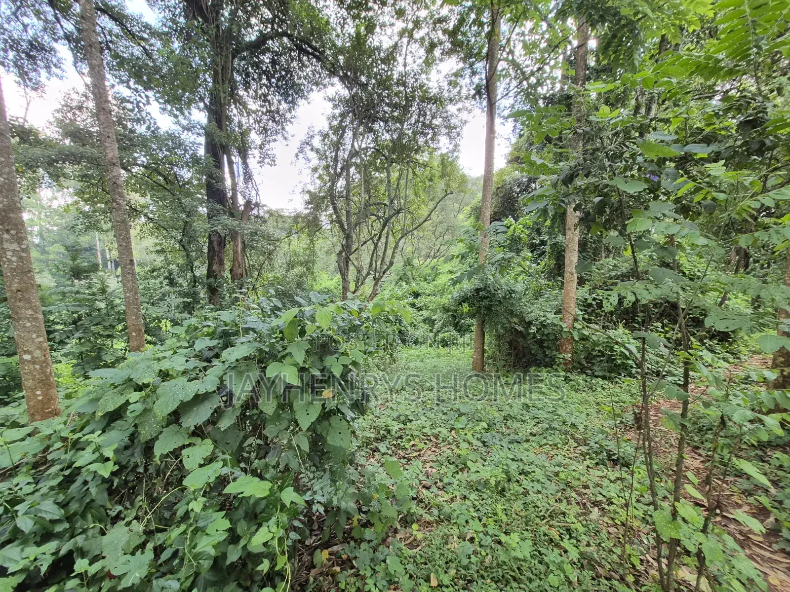 4.7 Acres of Land for Sale in Kitisuru Estate