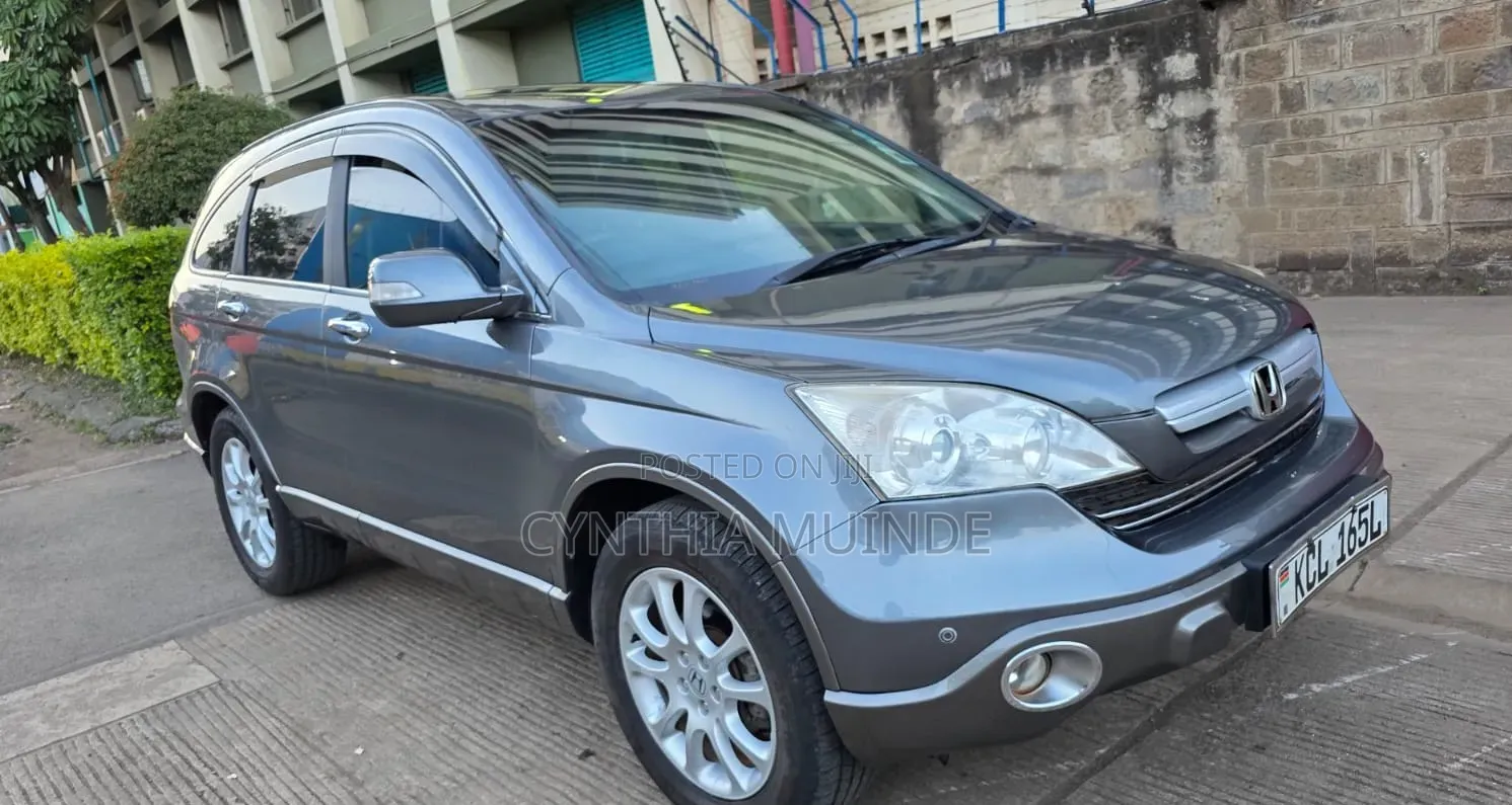 Honda CR-V 2010 Gray