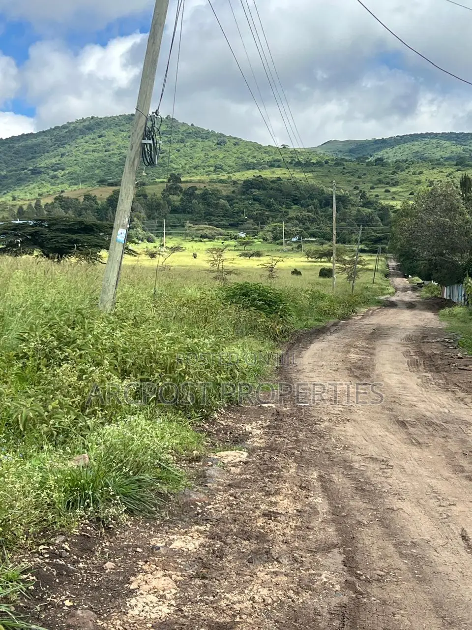 Prime 1/2 Acre Land for Sale in Kiserian Near St Patrick’S School