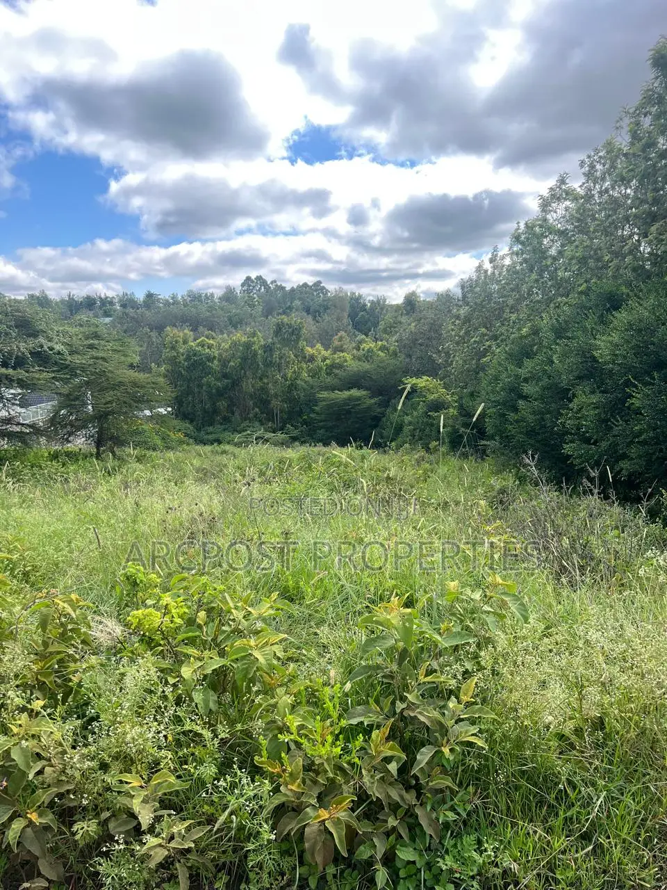 Prime 1/2 Acre Land for Sale in Kiserian Near St Patrick’S School