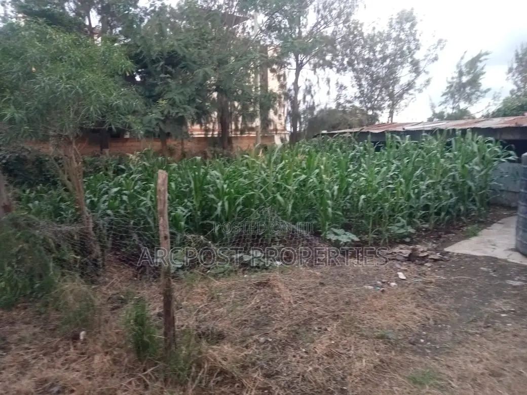 Prime Quarter Acre Land for Sale in Olekasasi Ongata Rongai