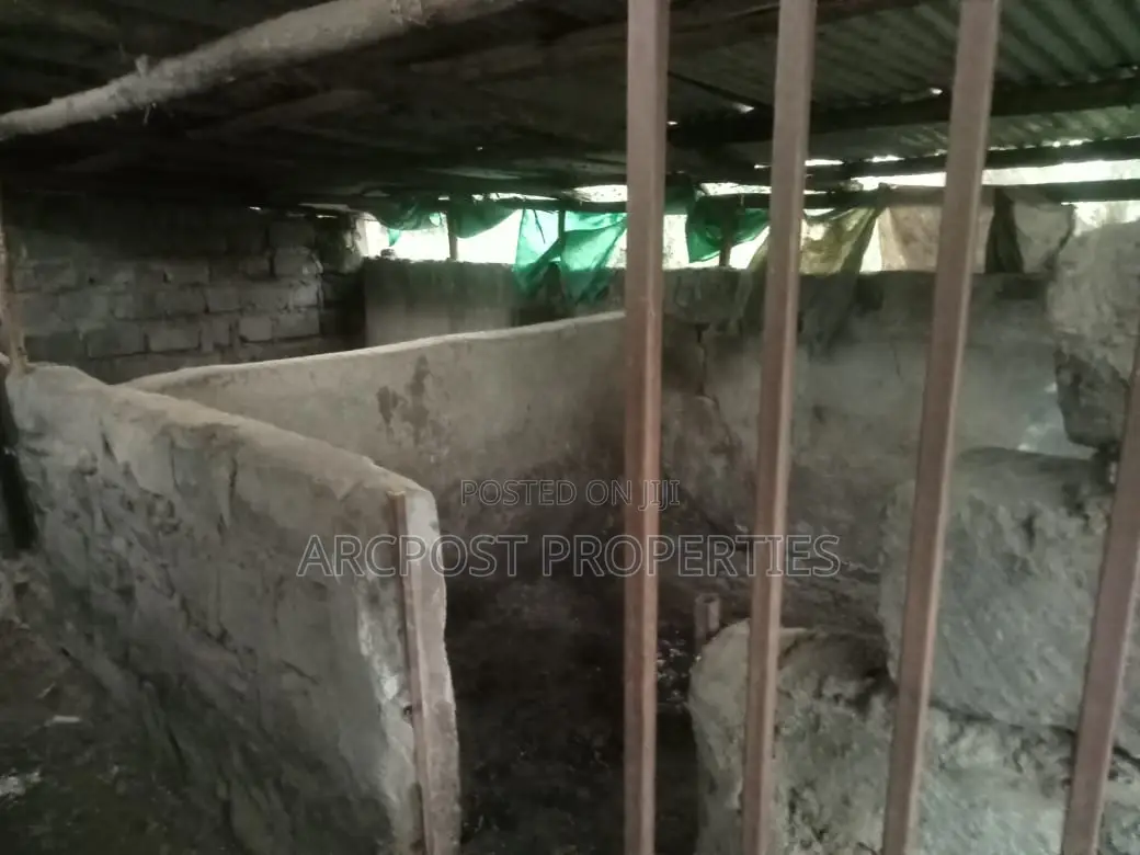 Prime Quarter Acre Land for Sale in Olekasasi Ongata Rongai