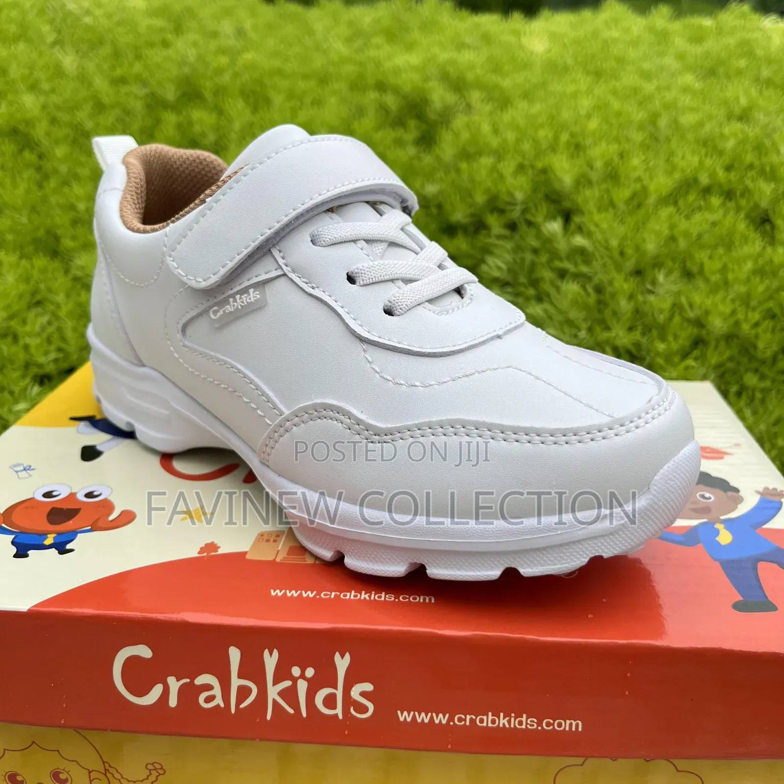 Crab Kids Sports Shoes