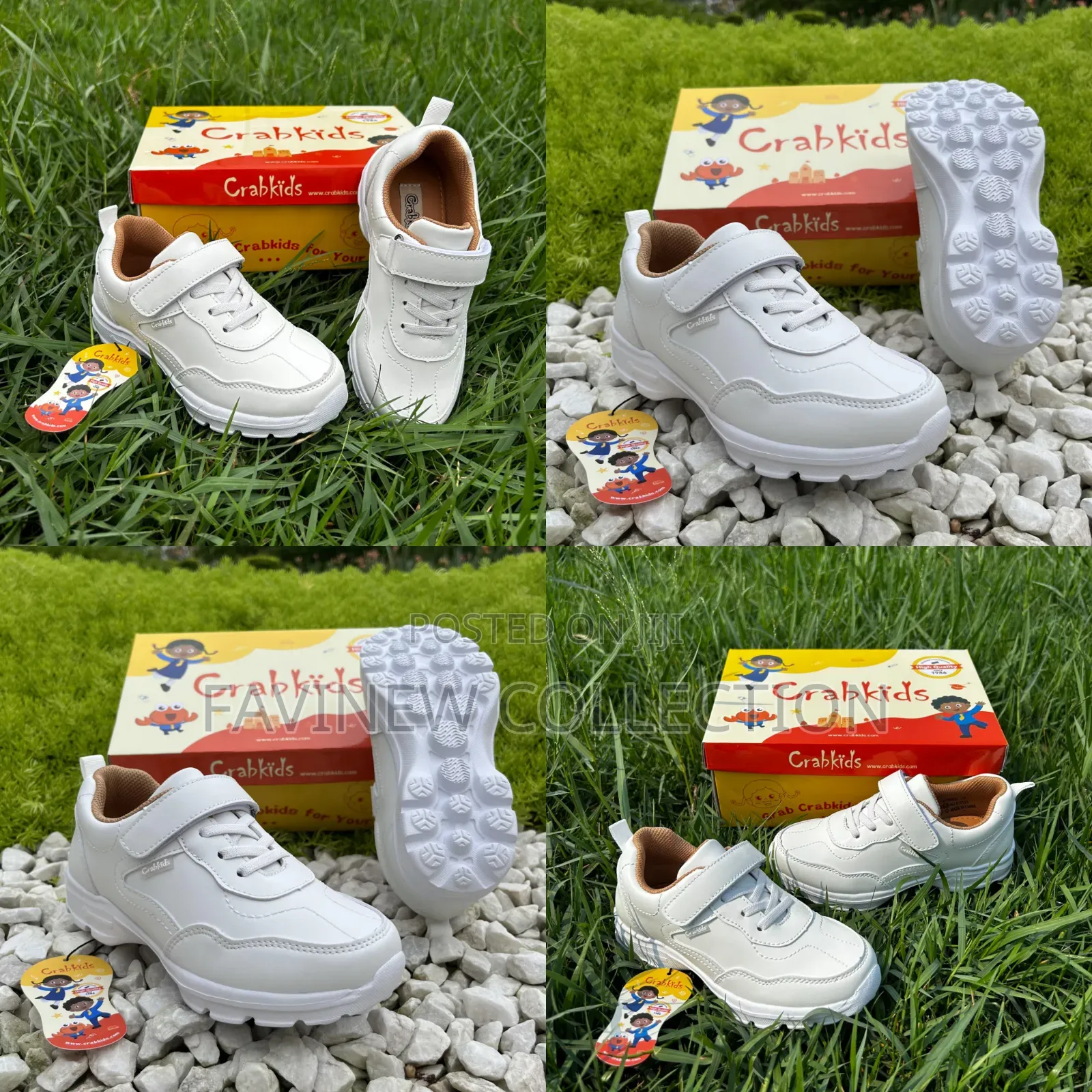 Crab Kids Sports Shoes