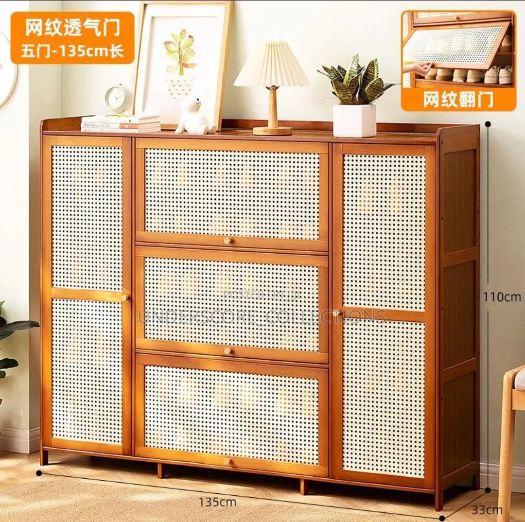 Modern Homes Entrance Shoe Cabinet