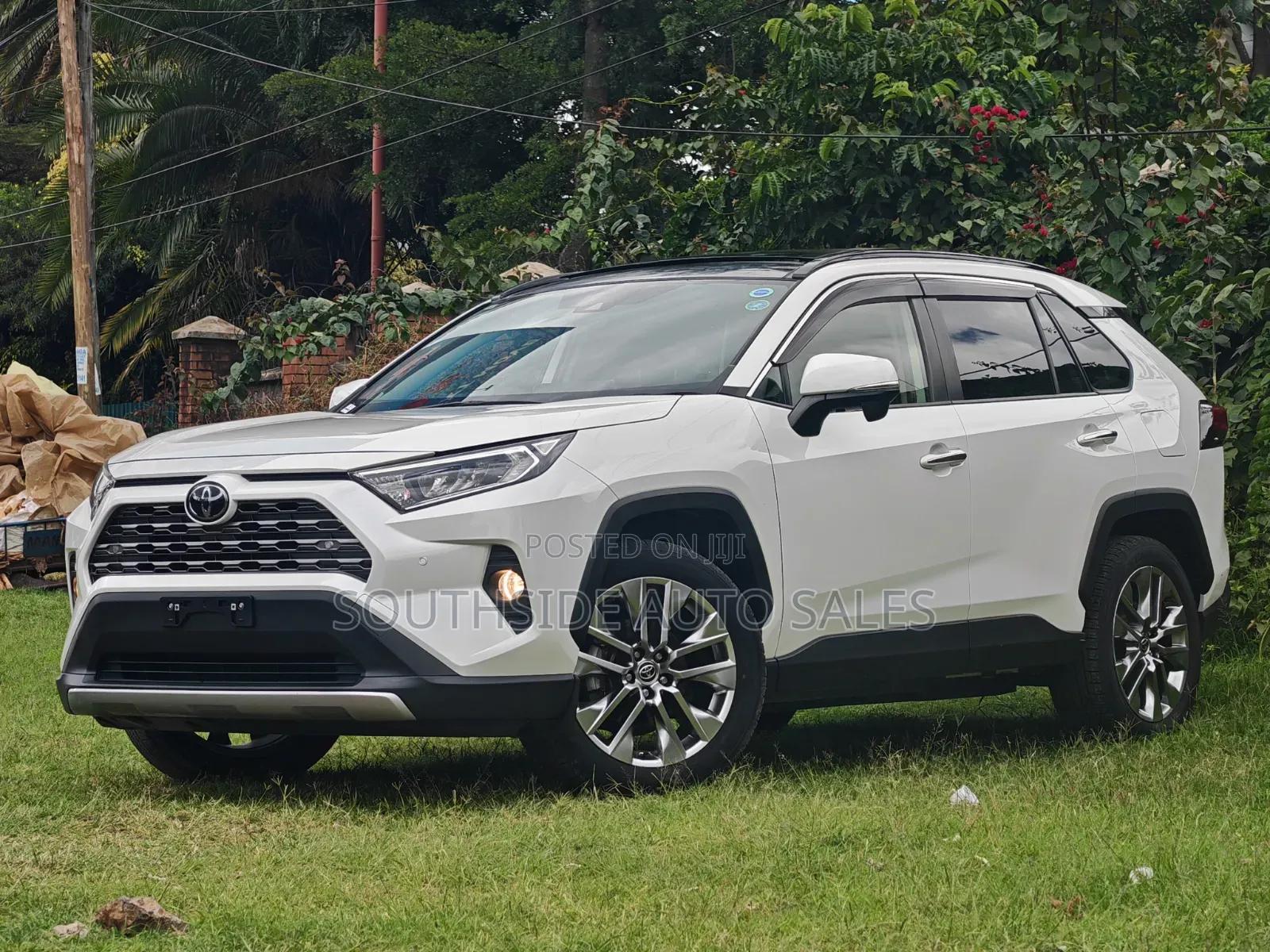 Toyota RAV4 XLE Premium AWD 2019 Pearl