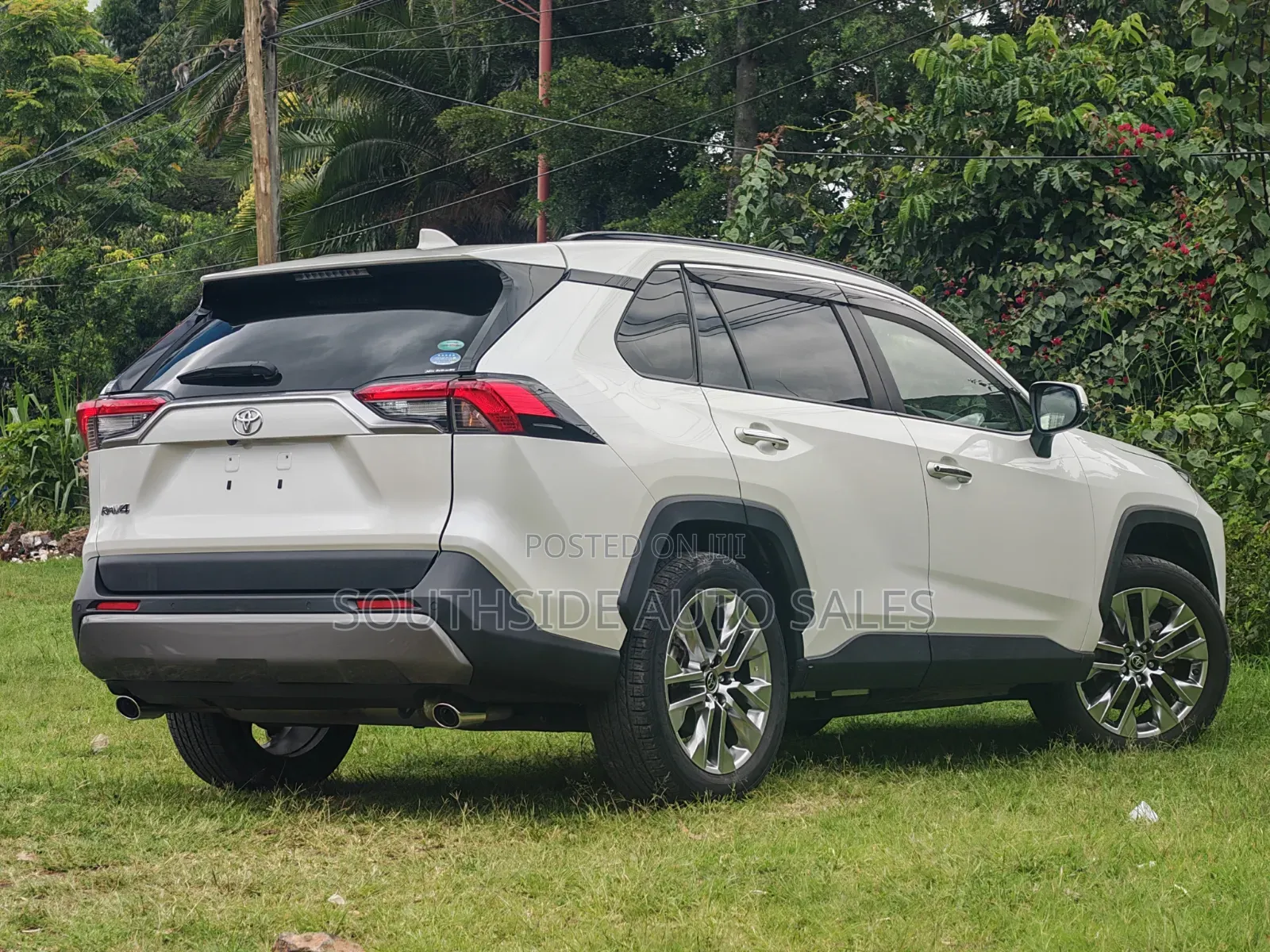 Toyota RAV4 XLE Premium AWD 2019 Pearl