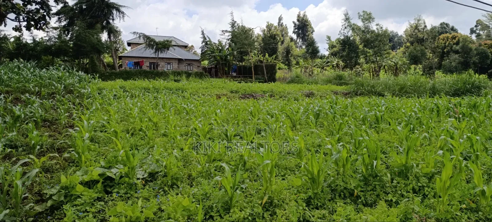 Affordable Prime Plots in a Residential Area