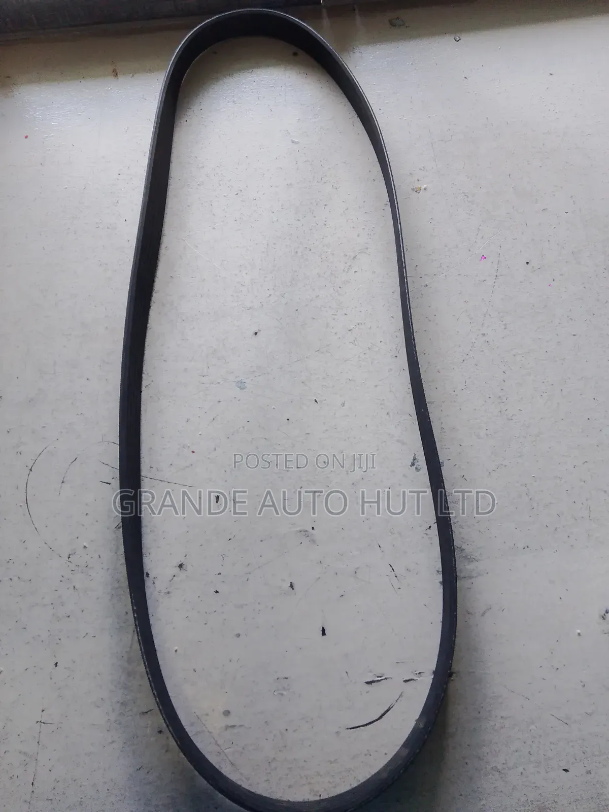 Fan Belt 6pk1255