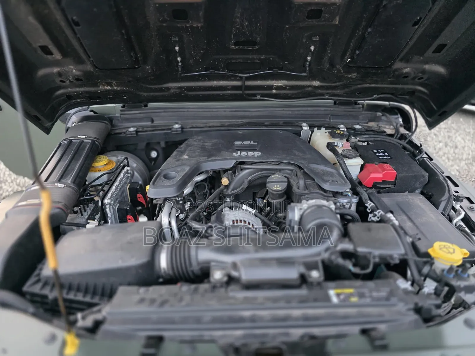 Jeep Renegade 2019 Green