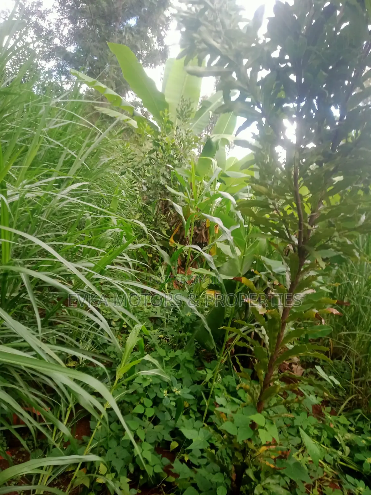 Mukangu -Kiharu Half Acre With a 2 Bedroom House at 3 M Master Ensuite