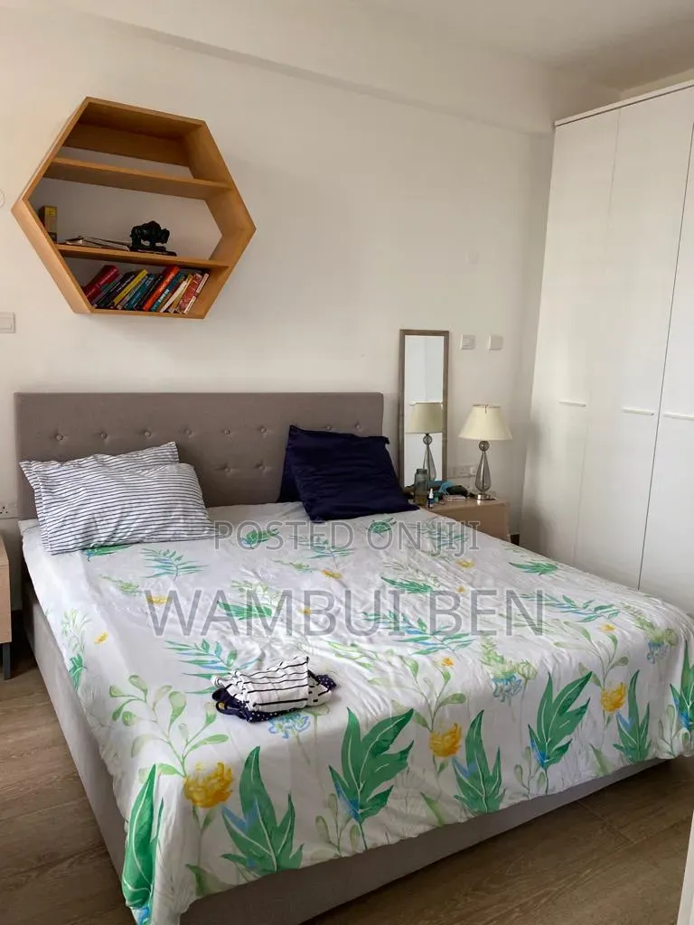 Furnished 2bdrm Apartment in Raphta Road Area for rent