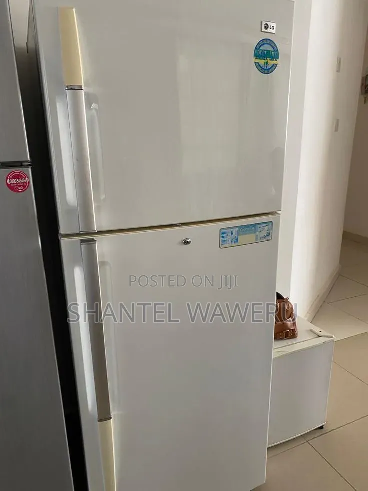 Samsung's Fridges Repair