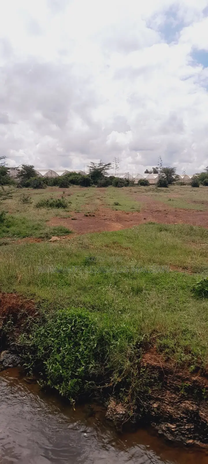 6 Acres Land for Sale, Juja Kalimoni 300m From Tarmac