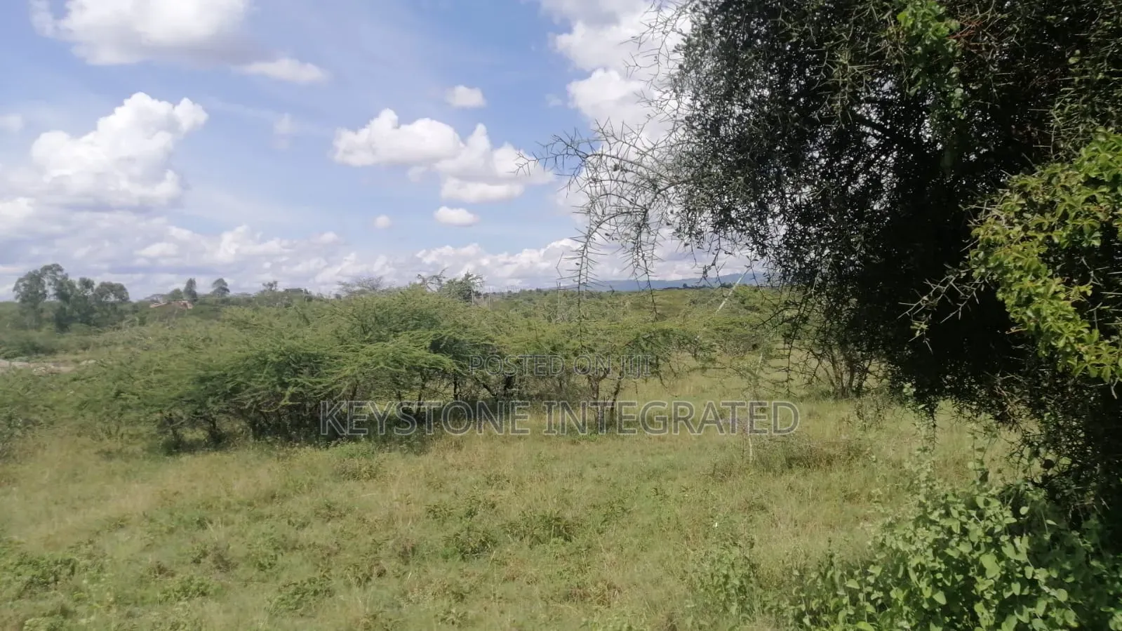 Prime Plots for Sale in Mavoko,Machakos