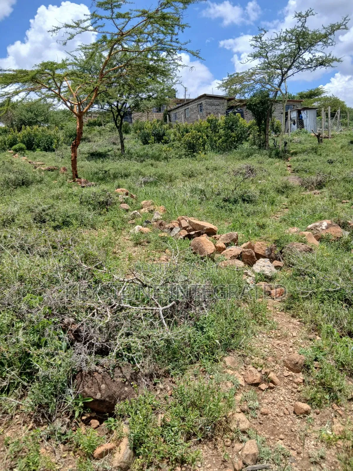 Prime 1/2 an Acre Plot for Sale in Kisamis,Kajiado