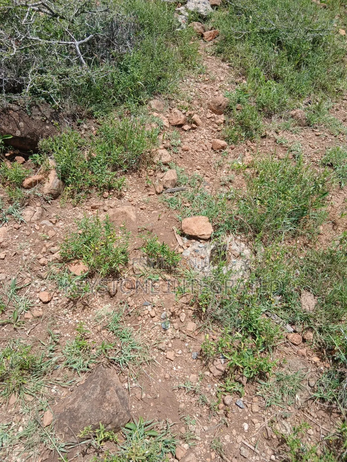 Prime 1/2 an Acre Plot for Sale in Kisamis,Kajiado