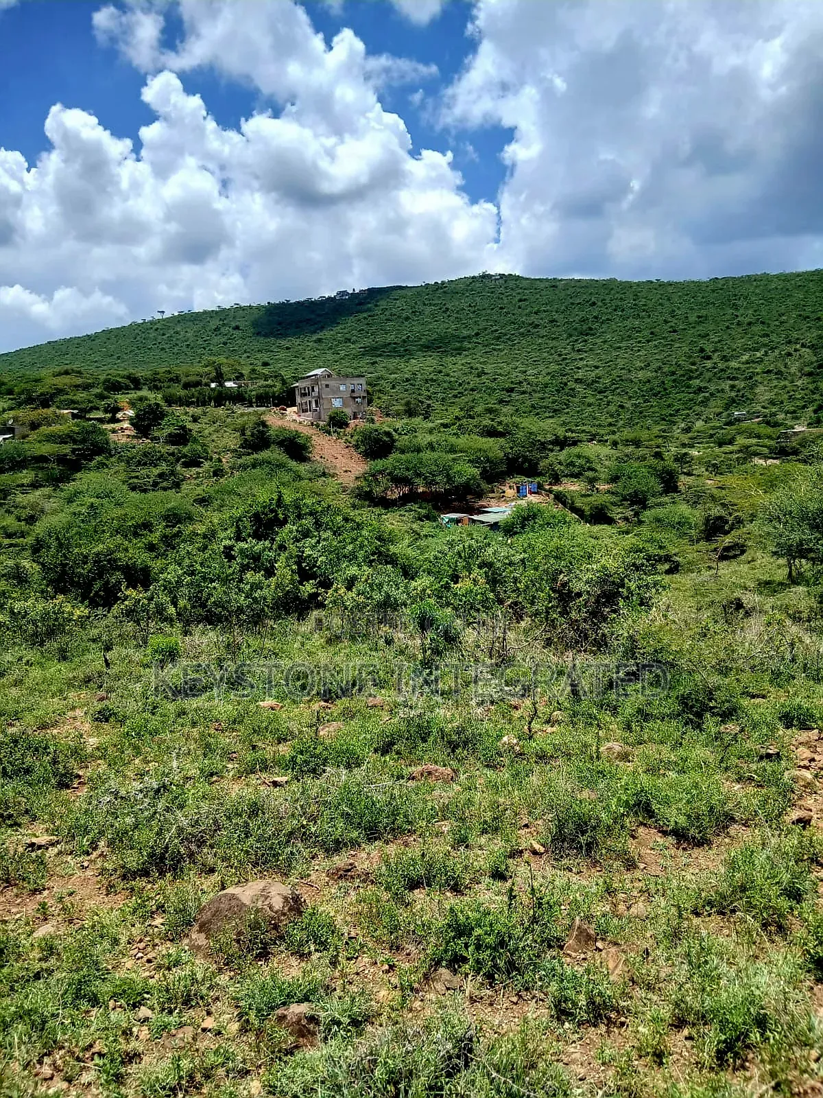 Prime 1/2 an Acre Plot for Sale in Kisamis,Kajiado