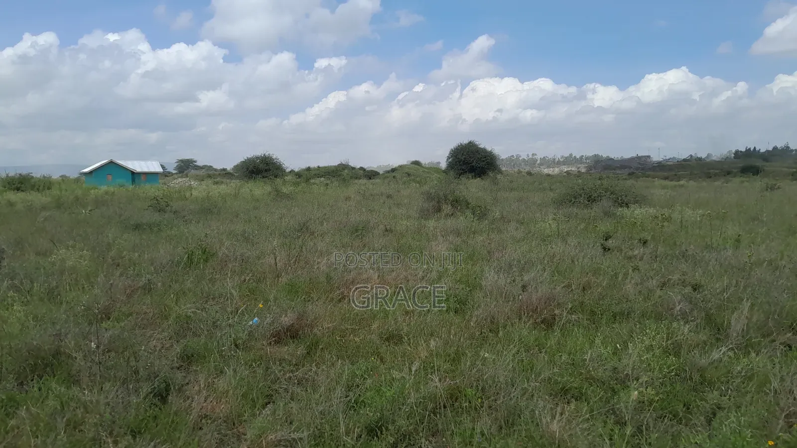 Exclusive Plots in Viraj Syokimau