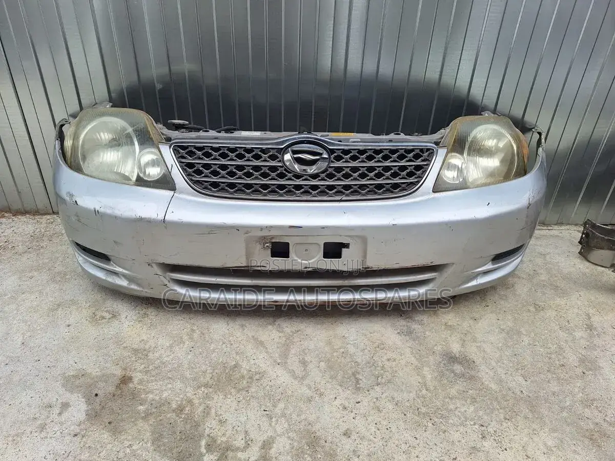 Nze 2002 Nosecut