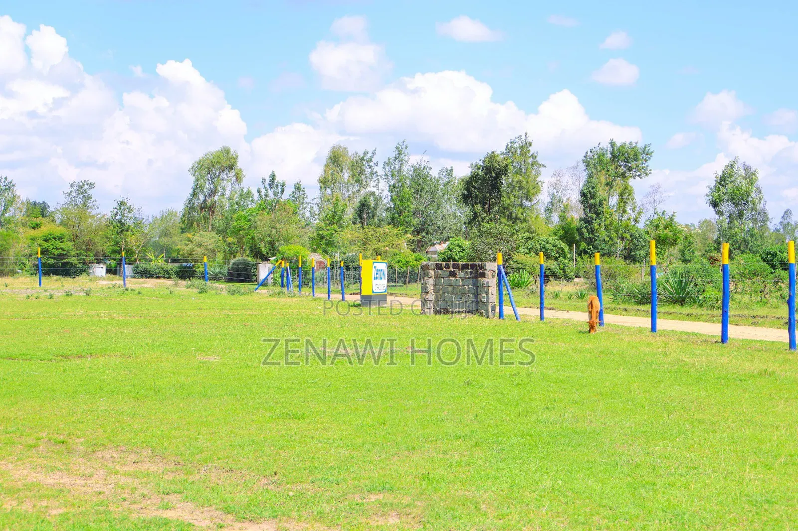 50 By 100 Residential Plots In Kilimambogo