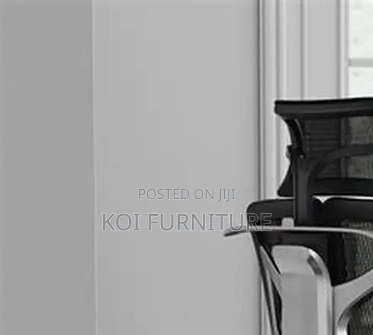 Office Chairs; Orthopedic Adjustasble Reclining Office Chairs