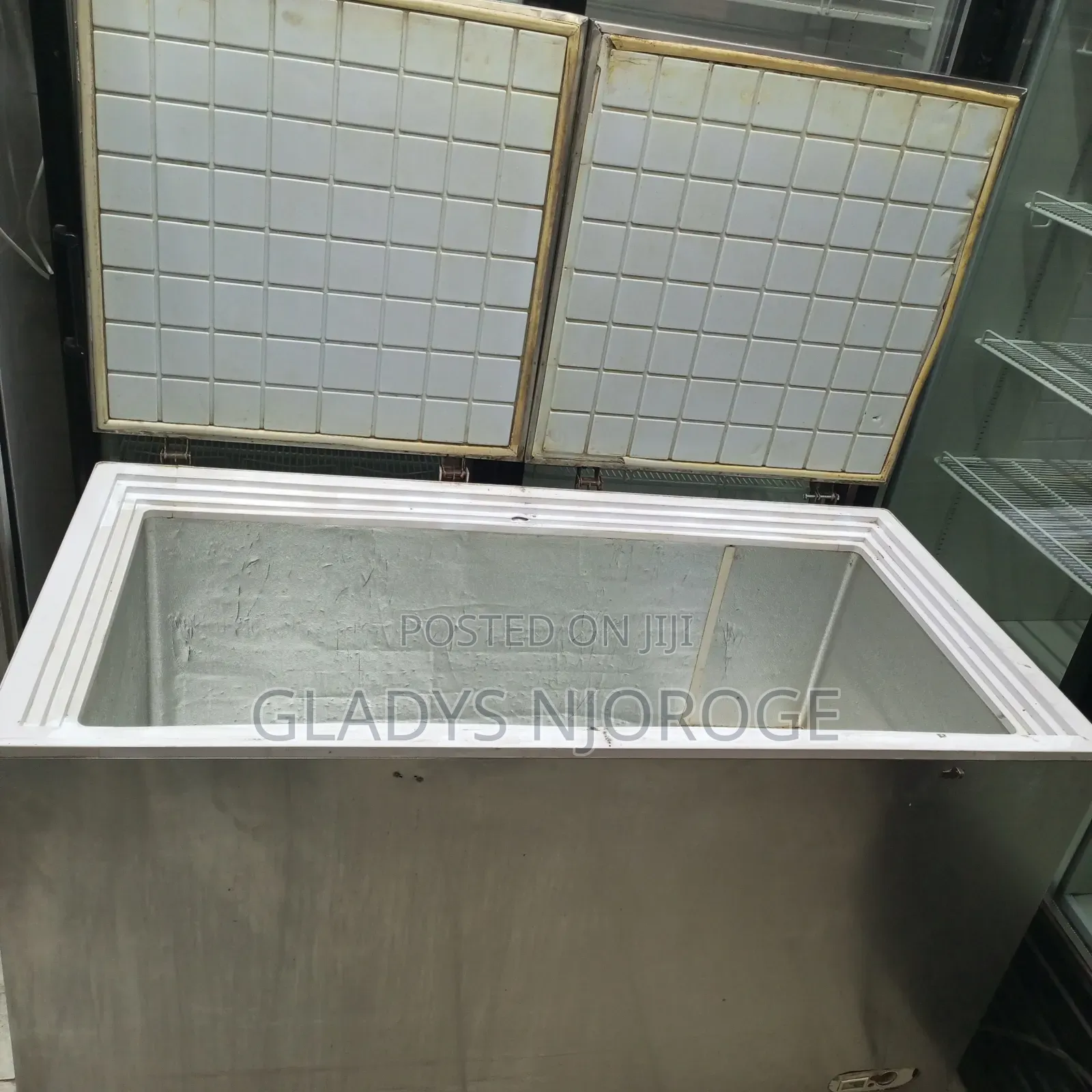 Stainless Deep Freezer