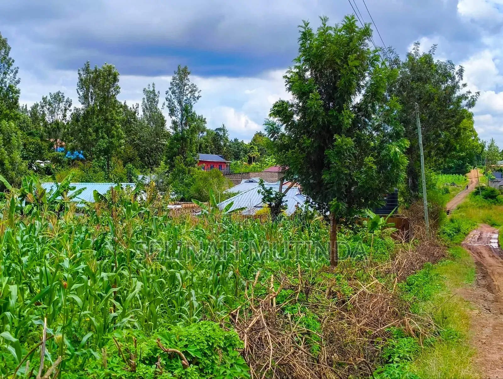 Kenol Muranga Plots
