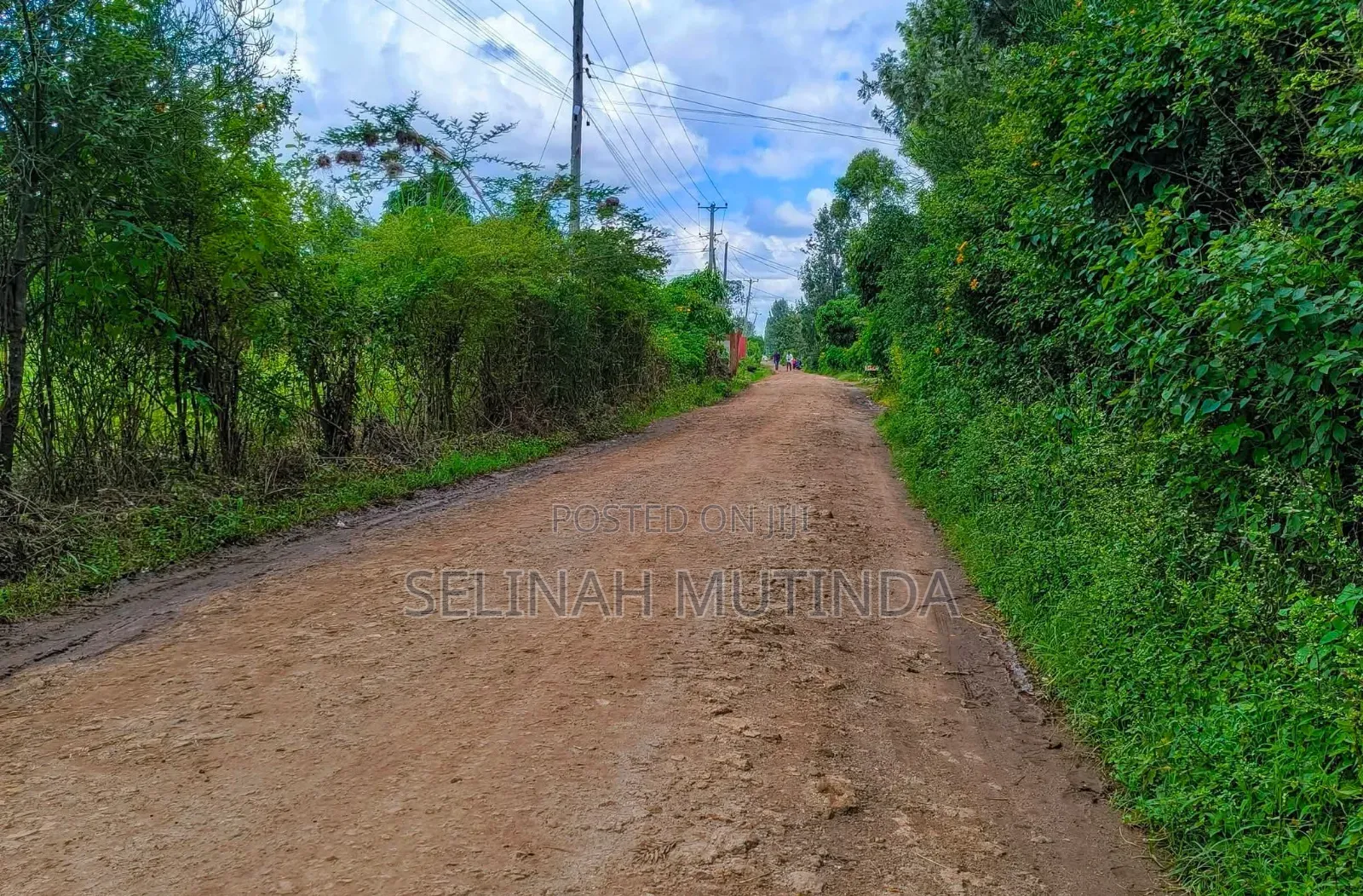 Kenol Muranga Plots