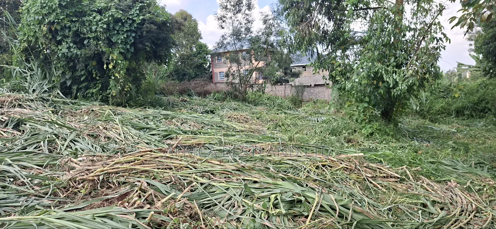 Prime Apartment Investment Plot for Sale – Kabete Kibichiku
