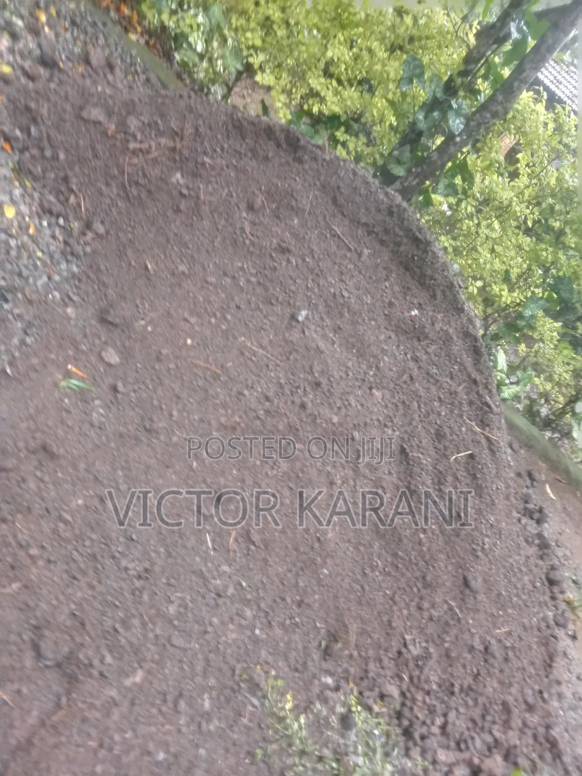 Goat Manure