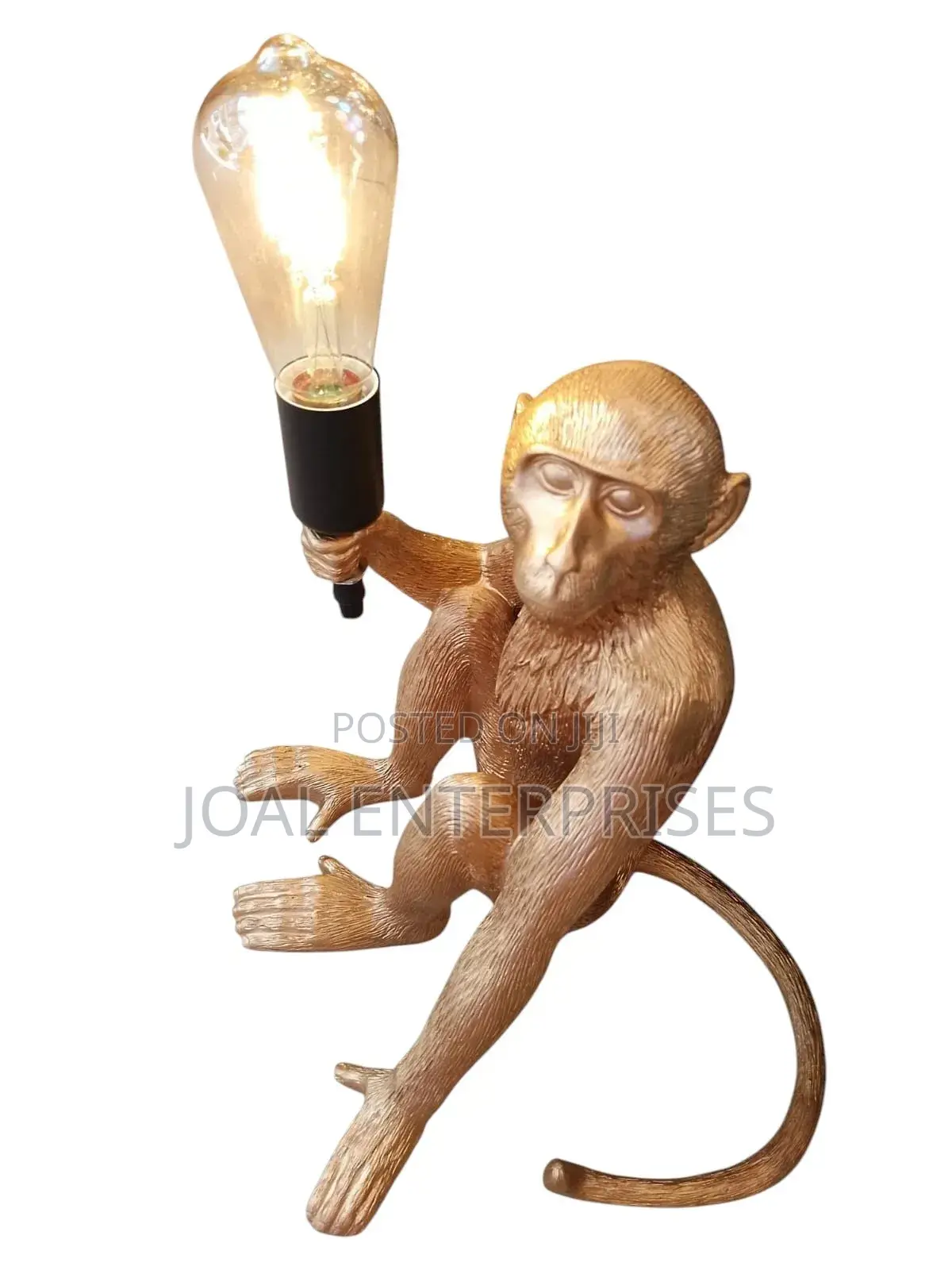 Monkey Light