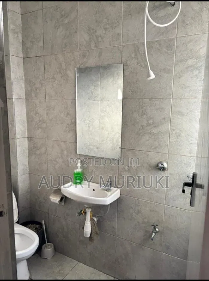 Luxurious Studio Airbnb in Roysambu