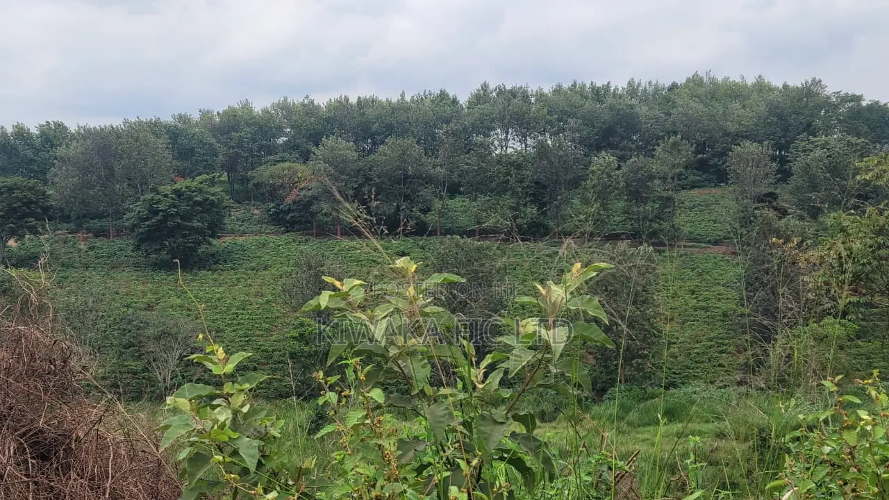Prime Land Along Thika Gatanga Road