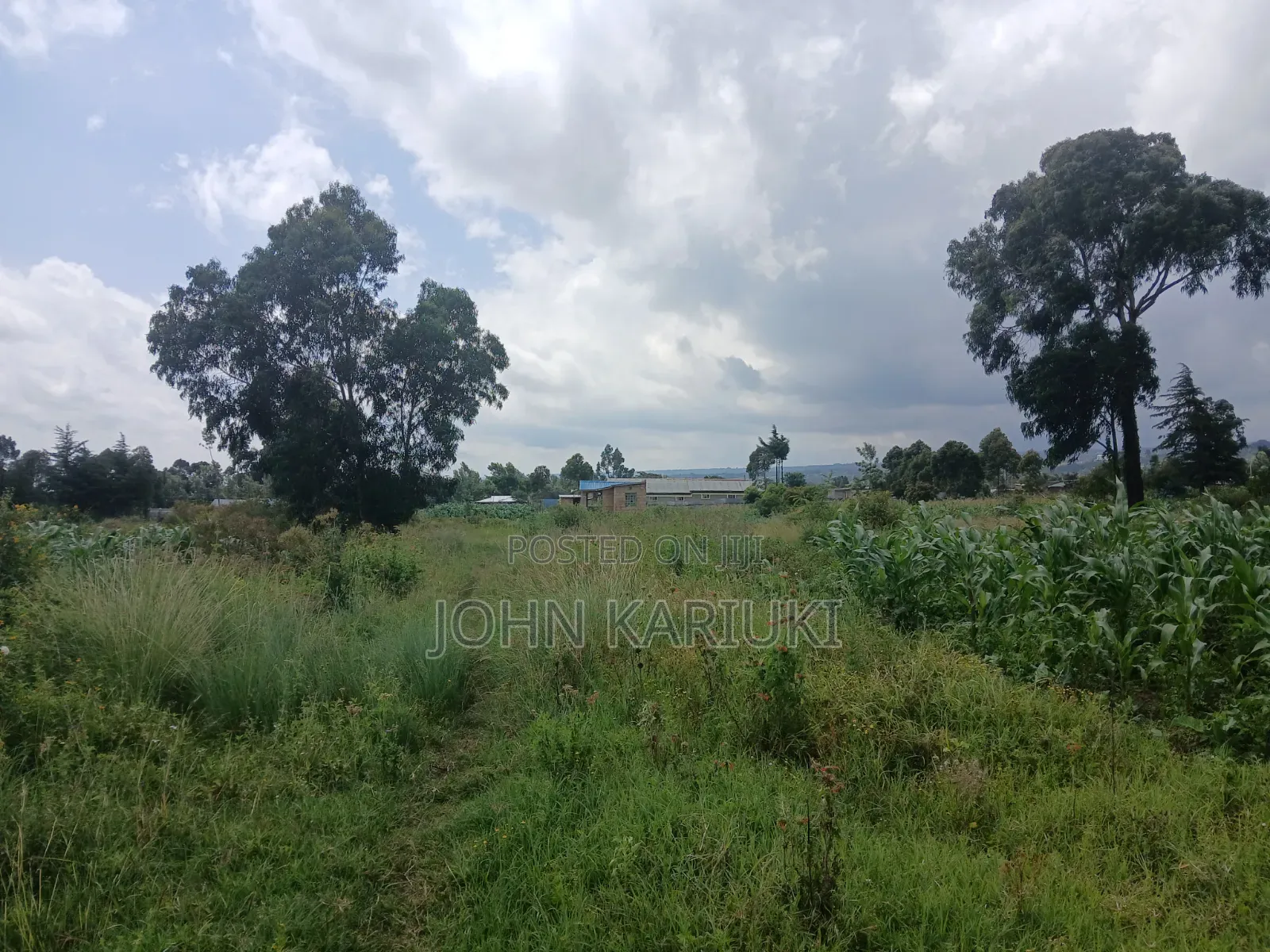 One Acre Land in Naivasha Mwichirigiri Near the School.