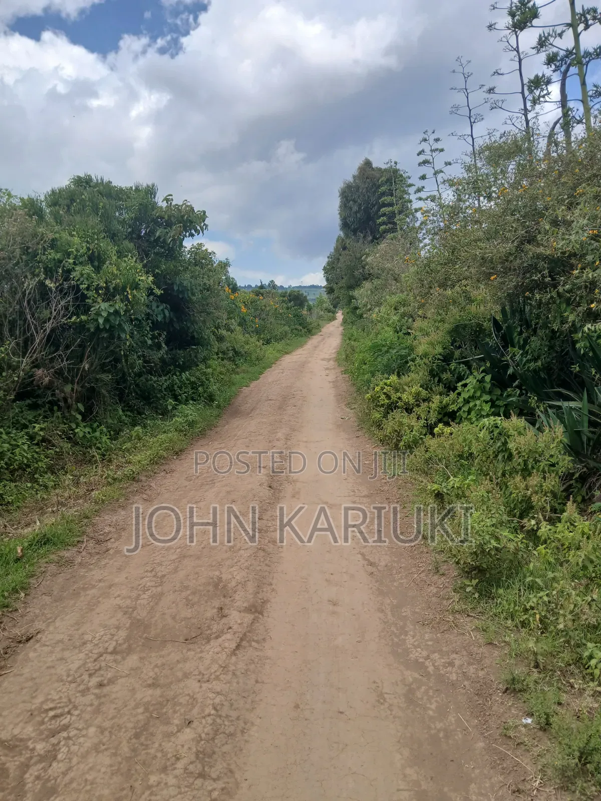 One Acre Land in Naivasha Mwichirigiri Near the School.