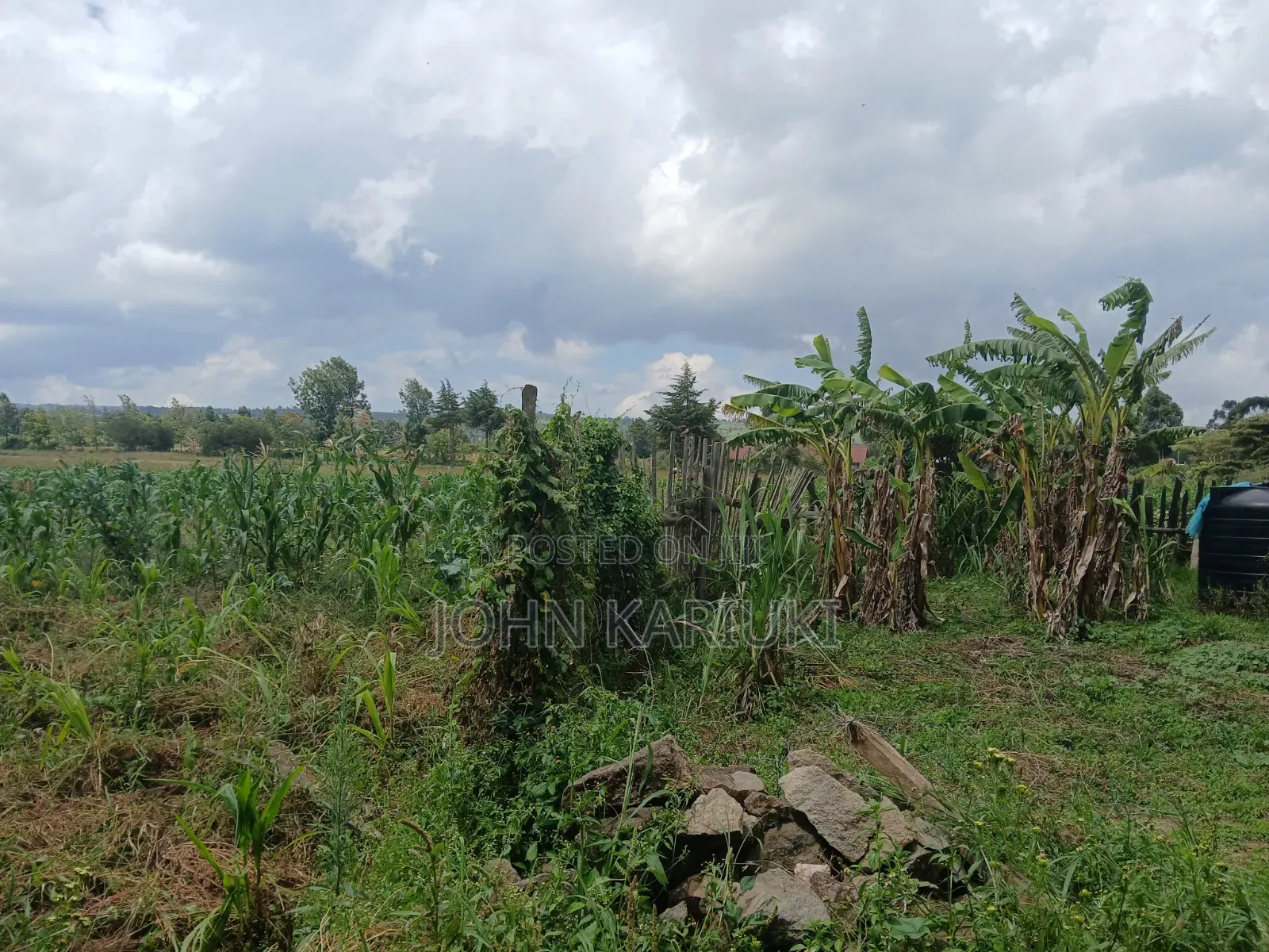 100x100 Land in Naivasha Mwichirigiri Near the Church