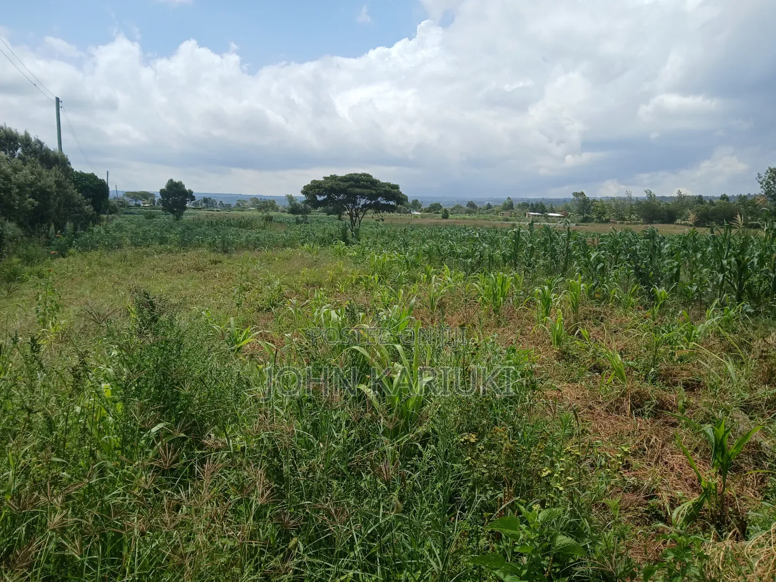 100x100 Land in Naivasha Mwichirigiri Near the Church