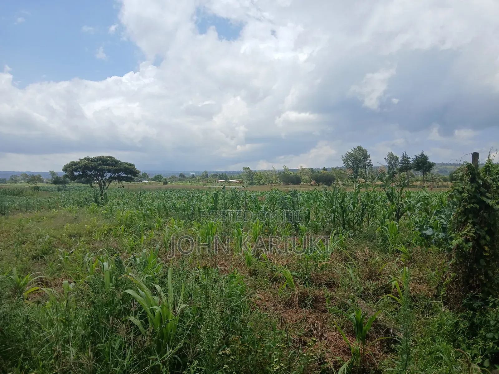 100x100 Land in Naivasha Mwichirigiri Near the Church