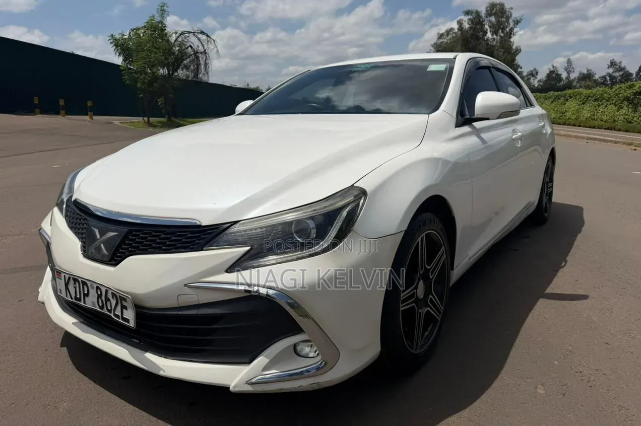 Toyota Mark X 2017 White