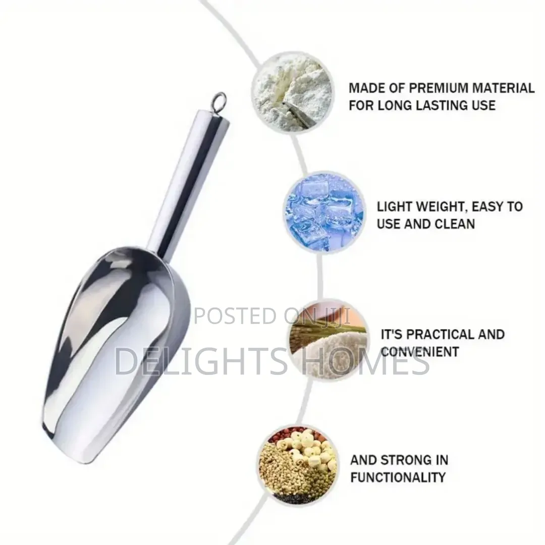 Stainless Steel Scoop-Car